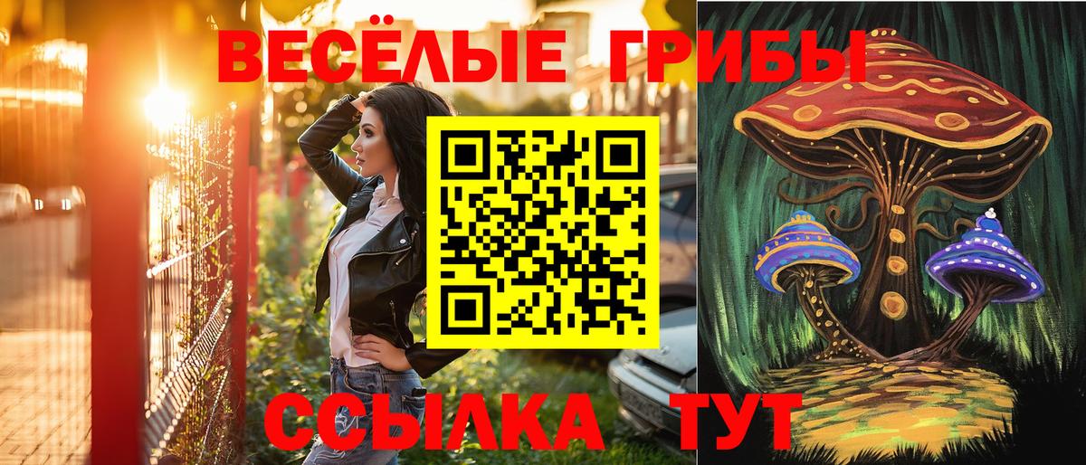 Галлюциногенные грибы Magic Shrooms Александров