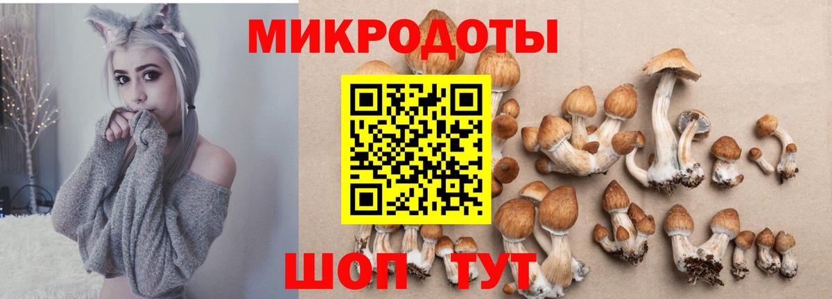 Александров  Галлюциногенные грибы прущие грибы  Вход с VPN 